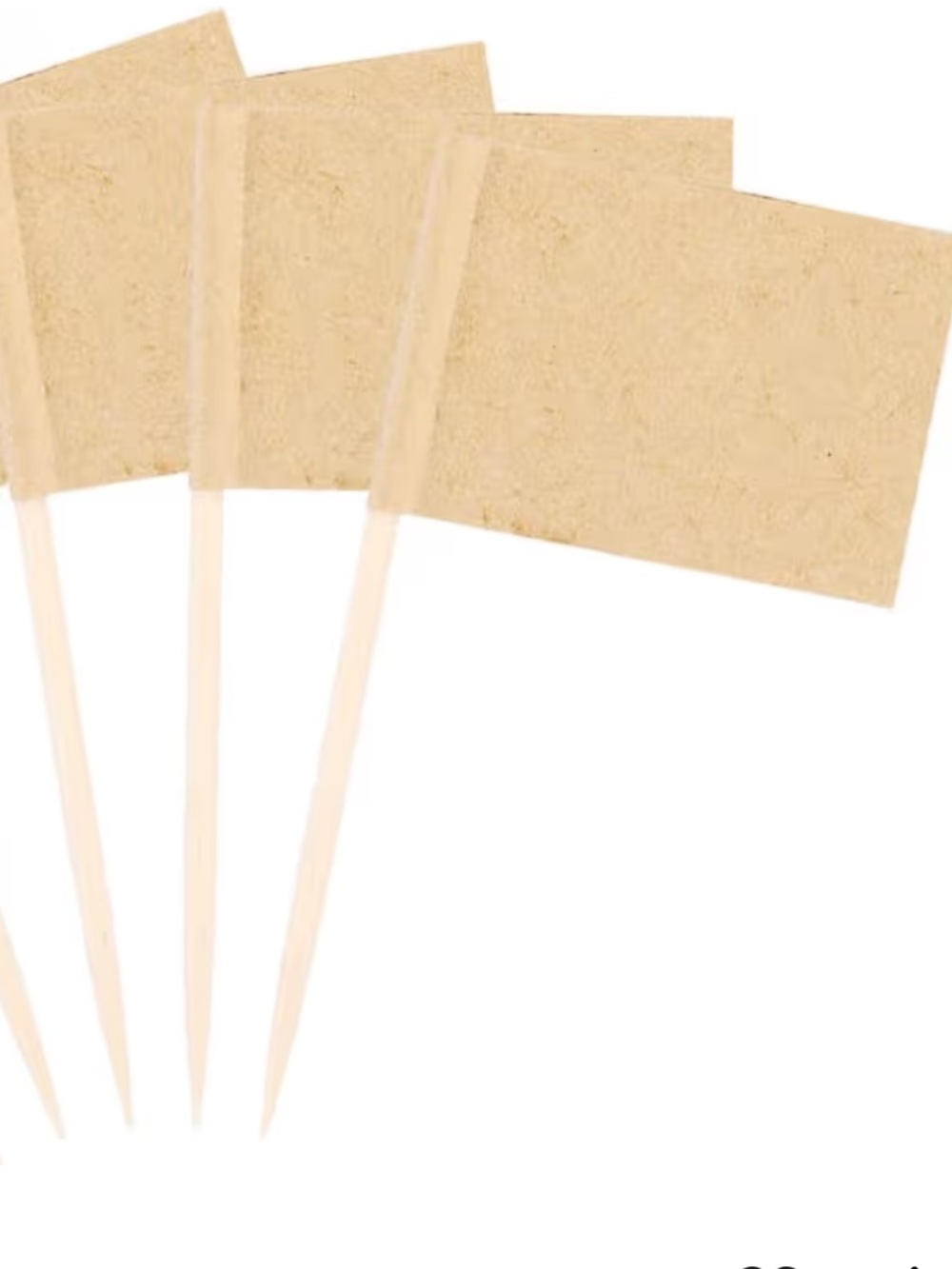 100 piece toothpick labels- great for parties